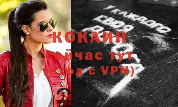 шишки Бородино