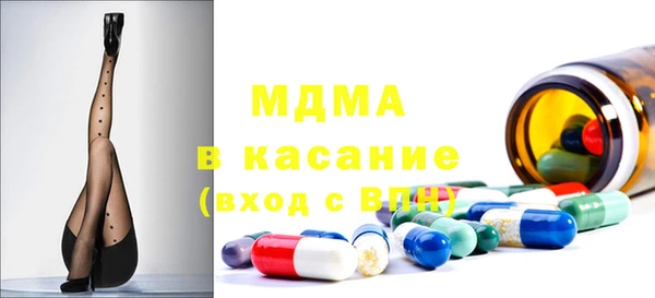 шишки Бородино