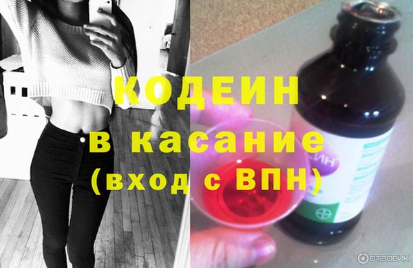 шишки Бородино