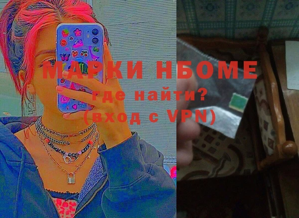 шишки Бородино