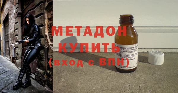 шишки Бородино