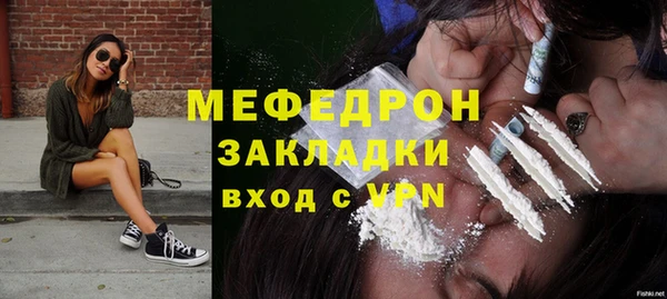 шишки Бородино
