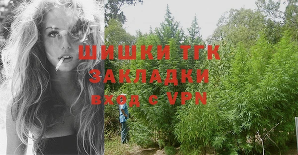 шишки Бородино