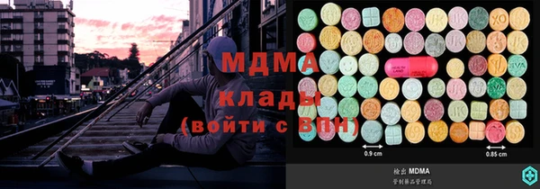 шишки Бородино