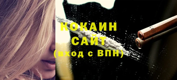 шишки Бородино