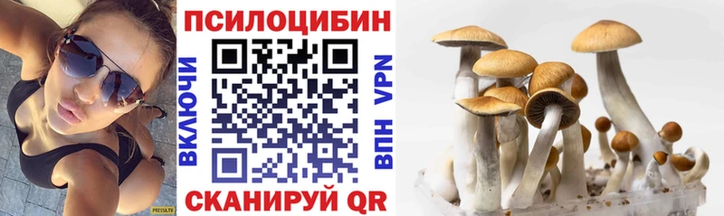 Галлюциногенные грибы Cubensis  где можно купить   Петропавловск-Камчатский 